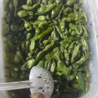 ترشیجات چاشنی دل|خوردنی و آشامیدنی|تهران, شهرک ولیعصر شمالی|دیوار