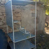 ویترین میوه و موز فروشی