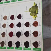 کاتالوگ رنگ مو|آرایشی، بهداشتی، درمانی|کرمانشاه, |دیوار