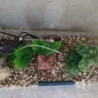 اکواریوم با تمامی تجهیزات