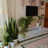 اجاره-روزانه-نزدیکترین-سوئیت-به-آبگرمها-وبازار