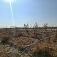 زمین کشاورزی|فروش زمین و ملک کلنگی|صباشهر, |دیوار