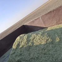 کاه خارشتر|حیوانات مزرعه|همدان, |دیوار