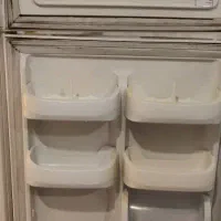 یخچال امرسان|یخچال و فریزر|رشت, کاکتوس|دیوار