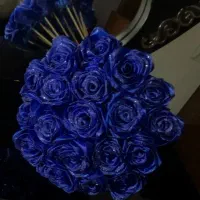 گل روبانی|گل مصنوعی|رشت, بالاکویه|دیوار