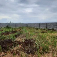 زمین مسکونی با نامه بنیاد