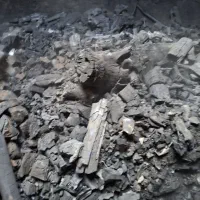 تولید زغال کبابی سنتی|عمده‌فروشی|تهران, شهرک زینبیه|دیوار