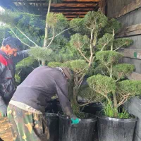 نیازمند کارگر