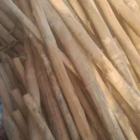 دار کبوده وتخته|مصالح و تجهیزات ساختمان|لردگان, |دیوار