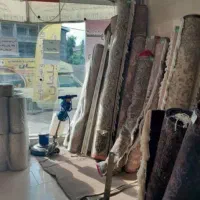 استخدام نیرو برای قالیشویی