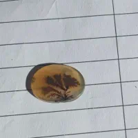 شجر قائن|جواهرات|خمینی‌شهر, |دیوار