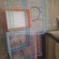 قفس عروس هلندی یا طوطی