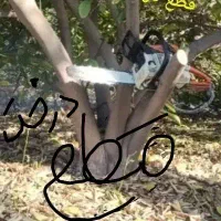 رایگان قطع رایگان تماس بگیرید