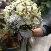 اجاره ماشین عروس|خودرو اجاره‌ای|دزفول, |دیوار