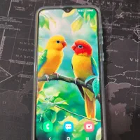 سامسونگ a30 s