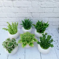 انواع گل و کاکتوس مصنوعی