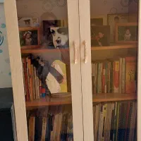 ویترین کمدی (کتابخانه ) سالم و تمیز