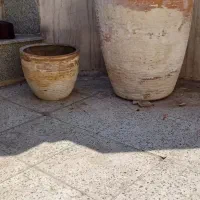 تعدادی گلدان وزیرگلدونی فروشی