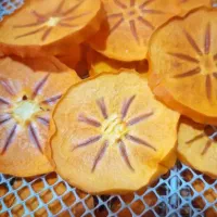 خرمالو خشک|خوردنی و آشامیدنی|تهران, والفجر (افسریه)|دیوار