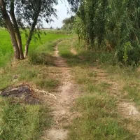 زمین کشاورزی ۲۸۰۰ متر در مناسکلا بابل|فروش زمین و ملک کلنگی|زرگرشهر, |دیوار