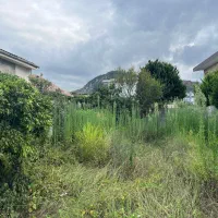 فروش-زمین-مسکونی-سند-دار-در-کتالم-پوده