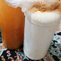 کودمایع نانو۲۴آنزیم