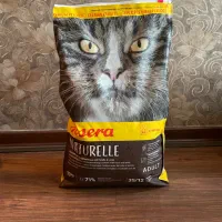 غذای خشک گربه|لوازم جانبی حیوانات|تهران, شیخ هادی|دیوار