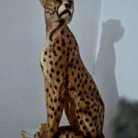 مجسمه پلنگ با پایه|مجسمه، تندیس، ماکت|گرگان, |دیوار