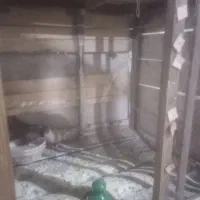 قفس بزرگ براکفتریامرغ خروس|لوازم جانبی حیوانات|کنگاور, |دیوار