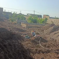 زمین در تقویه