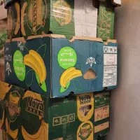 کارتن، اسباب کشی