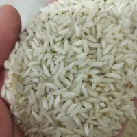 برنج خوش پخت کیلویی ۲۶۰