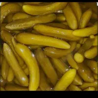 خیارشور خانگی