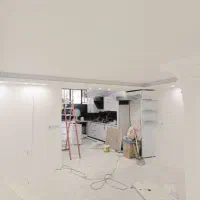 نیازمند نیروی نقاش