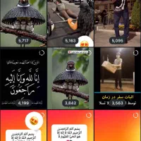 پیج ۵۰کا واقعی