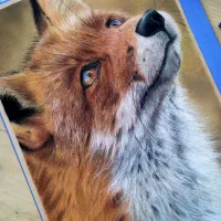 ۲۰ درصد تخفیف آموزش نقاشی با تکنیک پاستل گچی|خدمات آموزشی|مشهد, گوهرشاد|دیوار