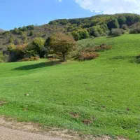 ملک زمین مسکونی بخش عمارلو|فروش زمین و ملک کلنگی|بره‌سر, |دیوار