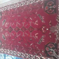 فروش قالی  دست باف|فرش|شیراز, آبیاری|دیوار