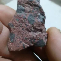 طبیعت|کلکسیون و سرگرمی|بیرجند, |دیوار