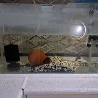 فروش آکواریوم