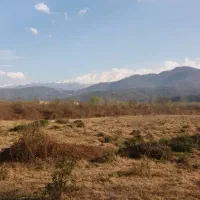 ۳هکتاری سندتک برگ.تهاتر