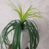 گلدان اناناسی مصنوعی|گل مصنوعی|شیراز, شهرک فرزانگان|دیوار