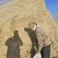 کاه گندم ابی