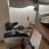 دوچرخه ثابت