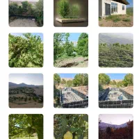 آبیاری هوشمند قطره ای باغ و باغچه|خدمات باغبانی و درختکاری|قم, میرزائیه|دیوار