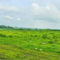 ویلا اجاره سنگچالک|اجارهٔ خانه و ویلا|چمستان, |دیوار