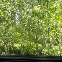 اجاره ۷۰ متری مرکزشهر با چشم انداز طبیعت|اجارهٔ آپارتمان|رشت, کوی قدس|دیوار