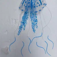 عروس دریایی ،آکواریوم|ماهی|زاهدان, |دیوار