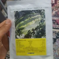 برز هندوانه