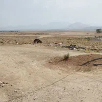 زمین مسکونی